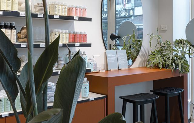 Our store